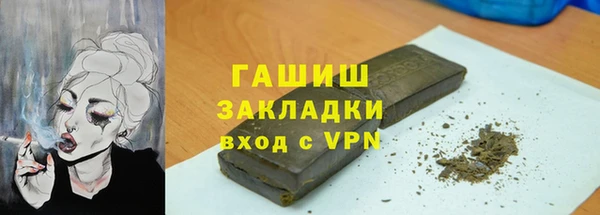 стаф Алзамай