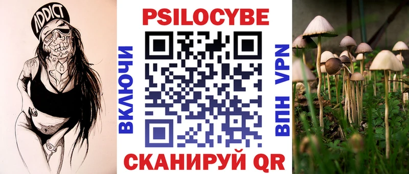 дарнет шоп Кызыл Псилоцибиновые грибы мухоморы